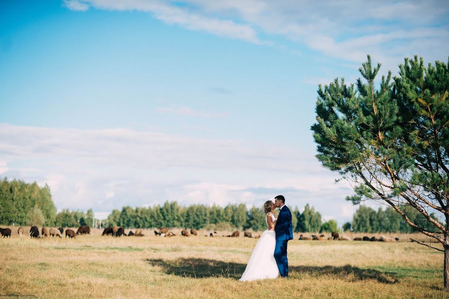 結婚式の写真家Ekaterina Samokhvalova (samohvalovak)。2016 9月23日の写真