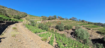 terrain à Collioure (66)