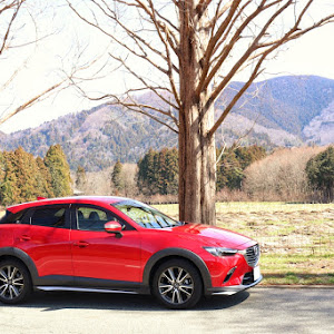 CX-3 DK5FW