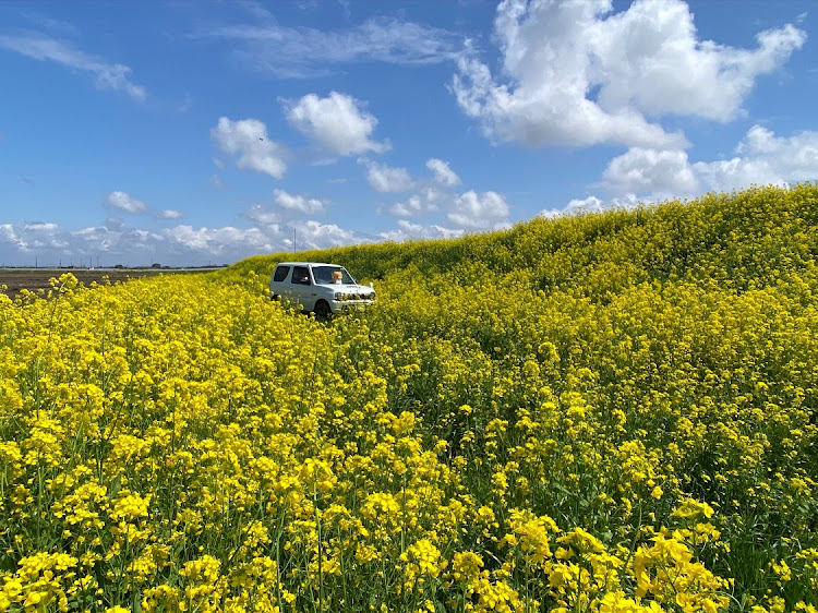 ジムニーのさくら🌸と愛車🚖・花活🌸🌸さくら探訪・麺活🍜中村屋・名水百選🌸花山に関するカスタム事例の投稿画像20枚目