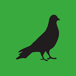 Progressive decoy on the steppe and field bird Apk