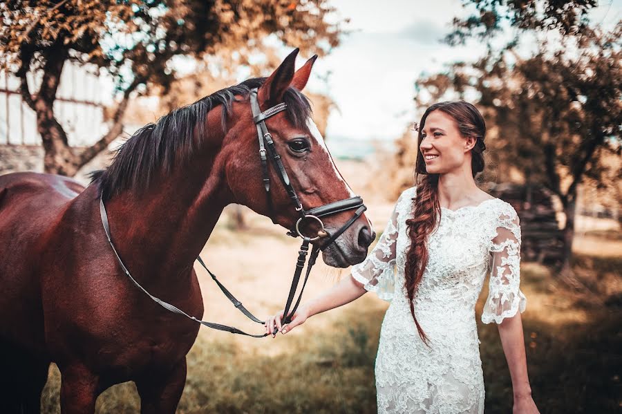 Hochzeitsfotograf Dirk Spoerer (dispo). Foto vom 7. Januar 2019