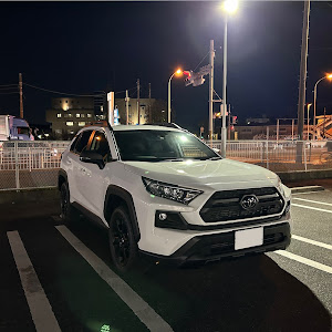 RAV4 MXAA54