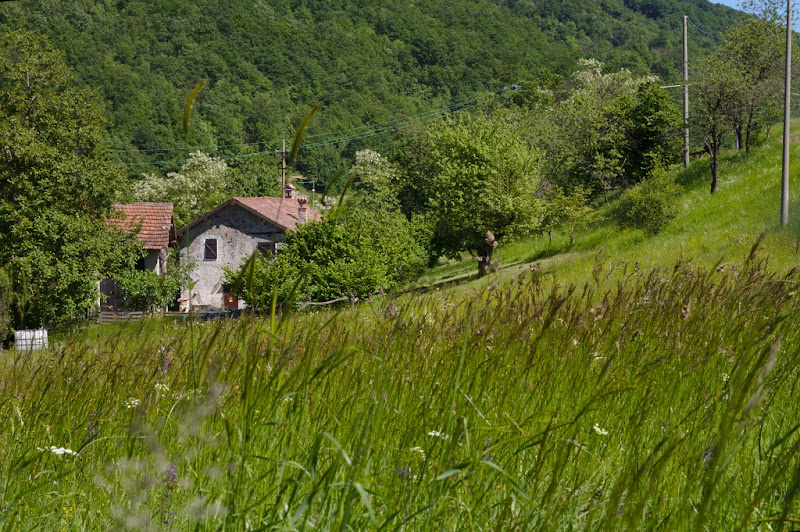 La casa nella prateria di Sergio Acerbi