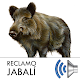 Download Reclamo Jabalí For PC Windows and Mac