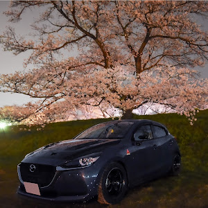 MAZDA2 DJLFS