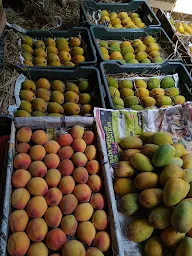 Apna Fruit Wholsale Market photo 4