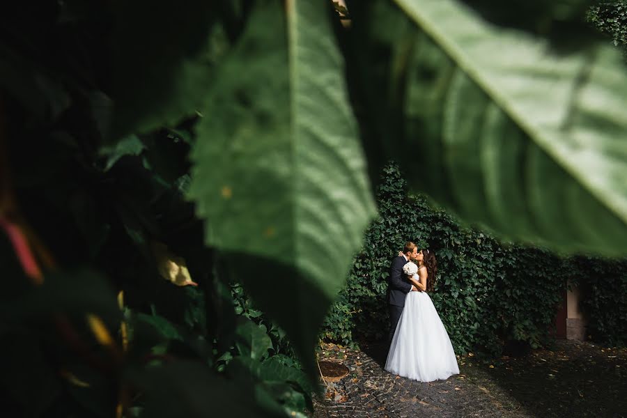 Fotografo di matrimoni Nikolay Khludkov (nikolaykhludkov). Foto del 14 febbraio 2019