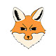 Fox HD Wallpapers Foxes New Tab Theme