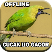 Suara Cucak Ijo Gacor mp3  Icon