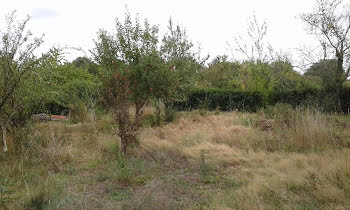 terrain à Le Taillan-Médoc (33)