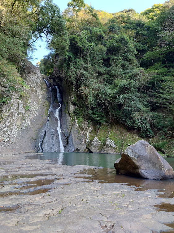 の投稿画像3枚目