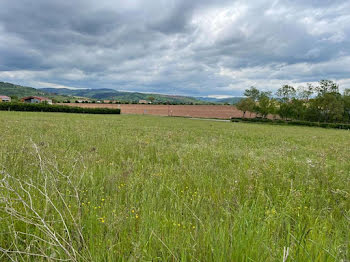 terrain à Belmont-sur-Rance (12)