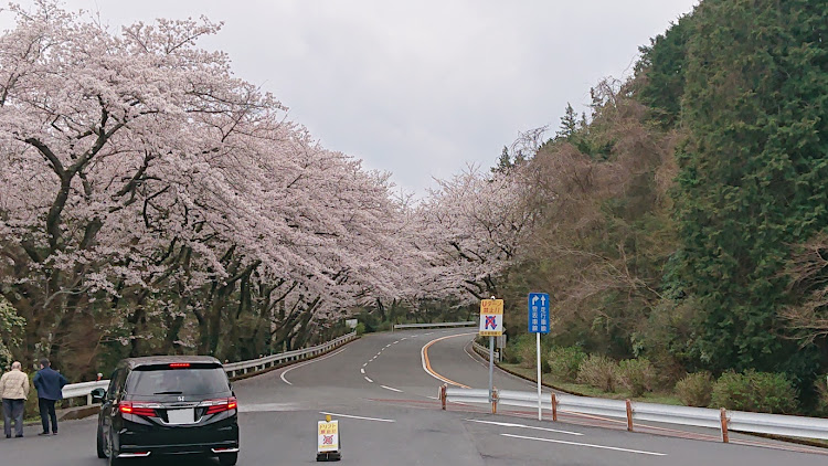 の投稿画像3枚目