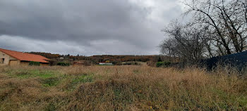 terrain à Brioude (43)