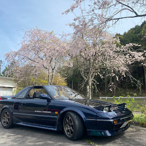 MR2