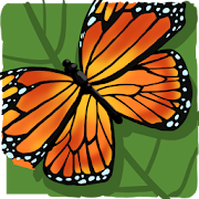 Insect Trivia  Icon