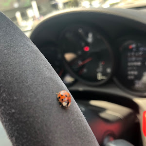 ボクスター