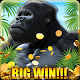 Download Gorilla Party 777 Wild For PC Windows and Mac 1.0