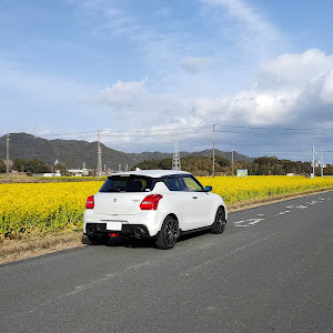 スイフトスポーツ ZC33S