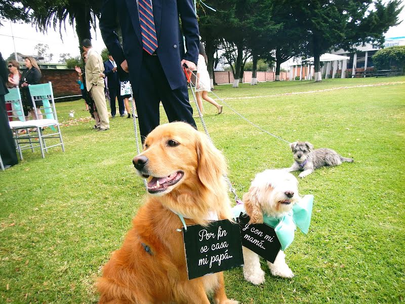 Fotógrafo de bodas Luiz Chamorro (woowbuenazzo). Foto del 27 de marzo 2019