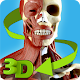Easy Anatomy 3D(learn anatomy) Download on Windows