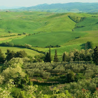 Sfumature di verde di 