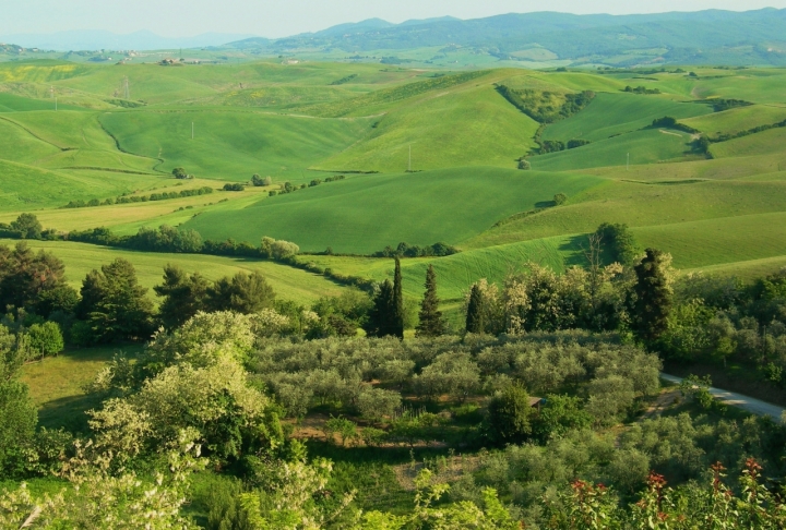 Sfumature di verde di cordina