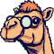 Item logo image for Amazon price check (camel)