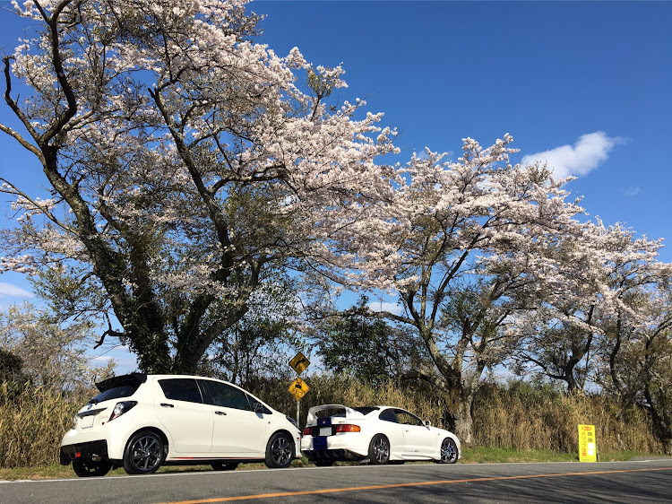 セリカの桜と愛車・コロナウイルスに負けるな・信貴生駒スカイライン・ヴィッツGRスポーツに関するカスタム事例の投稿画像2枚目