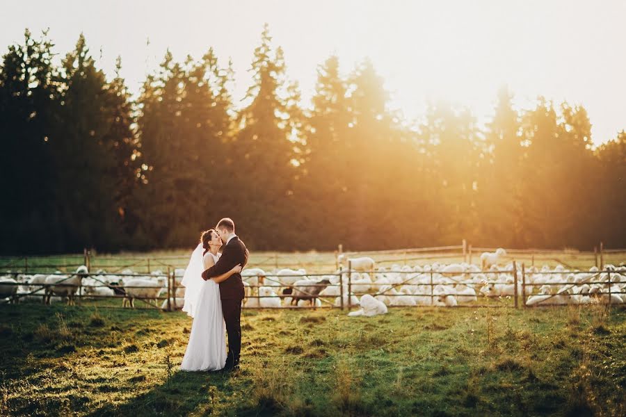 Fotógrafo de casamento Wojciech Sewera (braciastudio). Foto de 4 de março 2020