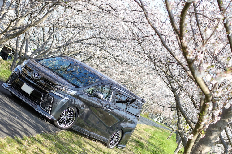 ヴェルファイアのJスライド・J-AutoShow・コロナウイルスに負けるな・全国モバイルmtに関するカスタム事例の投稿画像1枚目