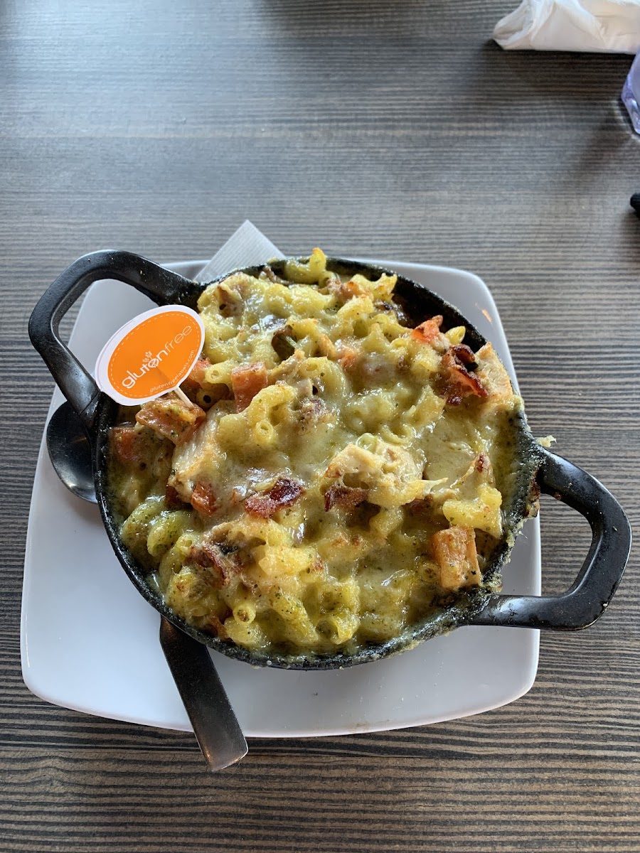 Pesto mac and cheese with bacon, chicken, and extra cheese