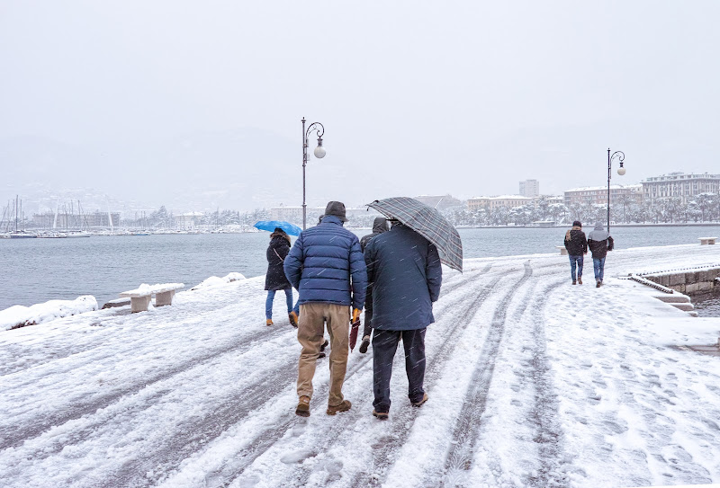 Andfiamo a casa,fa troppo freddo! di manolina