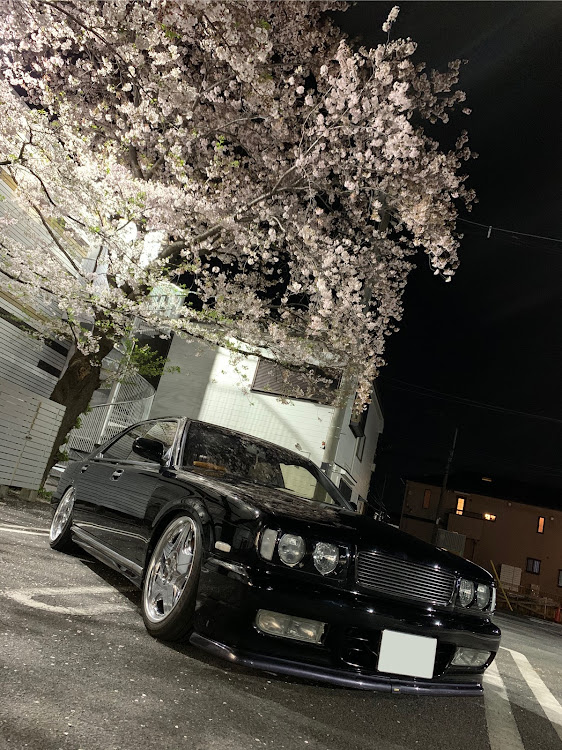 グロリアのクルマ好きと繋がりたい・y32・グロリア・桜と愛車に関するカスタム事例の投稿画像1枚目