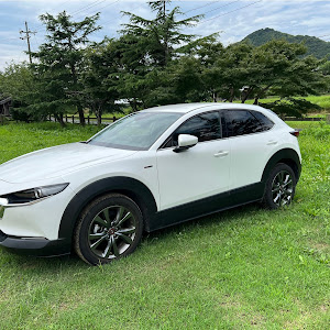 CX-30 DM8P