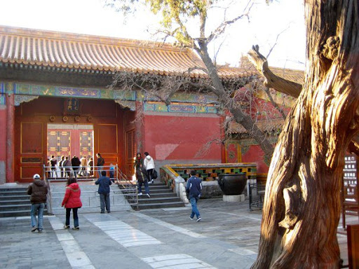 The Forbidden City - Beijing China 2008