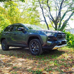 RAV4 MXAA54