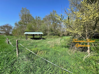 terrain à Selles-sur-Cher (41)