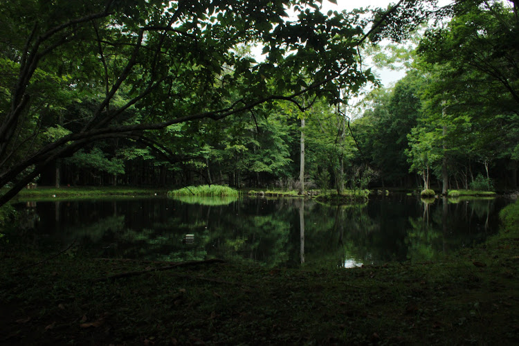 ジムニーのお盆休みに関するカスタム事例の投稿画像4枚目