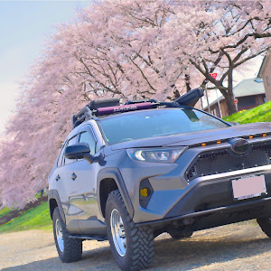 RAV4 MXAA54