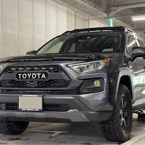 RAV4 MXAA54