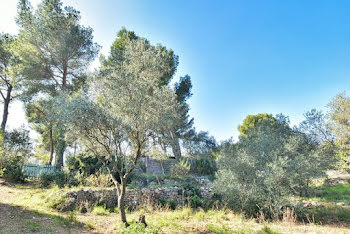 terrain à Clermont-l'herault (34)