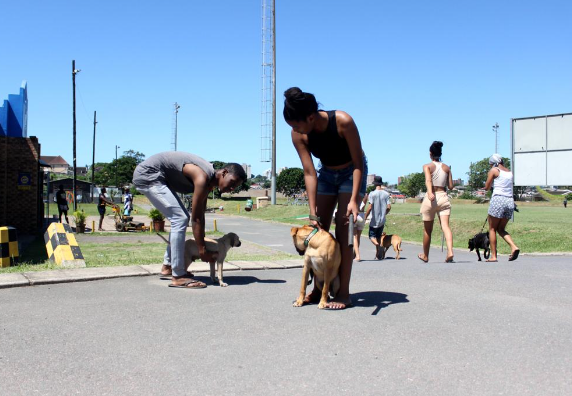 Tyrell and Keron Titus with their dogs Manson and Jock after the vaccinations.