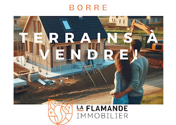 Borre (59)