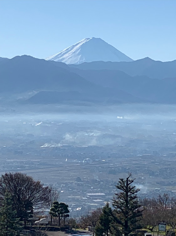 の投稿画像12枚目