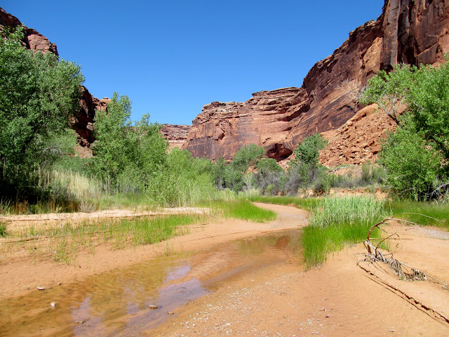 Water in Horseshoe Canyon