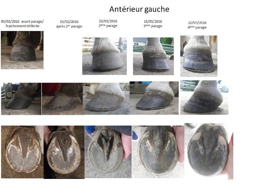 Pieds MJ : 8 mois d'évolution pieds nus - Page 4 8owyoWHmqkXUQ6LZcfKhtFbSCL6ezTzUrS9IjM-t65cM1r_F_tzHHCKHSe5SXgLySLY--zyERmNraaLRMyaCBtMzAMb5XW_ArmGVPDIYgrniIS-qTJPc9yWUEwsCMsL0TMJbFNLl9dCLsJfW6usAily2iCtp6-V553LjK6XzJ-vWnmDtkSNKzPUT0KRIwc54SngRJsPEy-0sQGmii4z-rRZFEsDvCMHiUvmnomwmFOp0bm7y8Jg42Beql_heIEfgs3HULZIDdtN1pETXBDtVvfWmML0xthMKixt4GQDI9sR9WlXJpk1X1xL6AwfNUX7IjpD6u152xe8xinpazBQe0c6TkOLK9nPNDXkEPffsOZ0jJZPhCeFpAA9EVzaWJqlwgl_6hEA-v6Empo0PoTXFnbIvOJUcQ_28ZBNKjHqSQrl71e_nTqlTnKUb6eRTW3XHZGkZ3q4QN5BEEkUzOMcE5DMj55O_vM4qchZt4x-2Cu_y5mNryXBz-WsTeBBeupoMemCHVejME-rDfBiQdFmSIWciwhOEwcdmZ9O7anK4Alth0GCar1IsYLrHtC7GkDs93akeQ6OrdYNivV_DM5EX6P8HaNxa6N_S=w858-h643-no