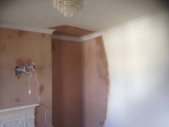 plastered alcove, installed new coving album cover