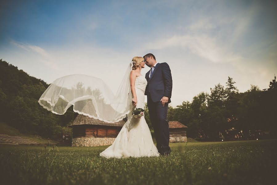 Fotógrafo de casamento Aleksandar Stojanovic (stalexphotograp). Foto de 25 de setembro 2015